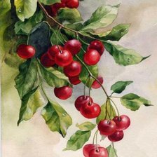 Схема вышивки «спелая вишня»