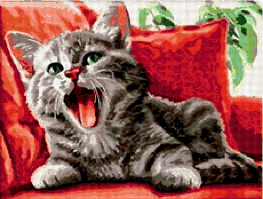 разбудили - кот, котенок, милашка, лапушка - предпросмотр