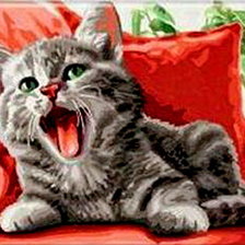 Схема вышивки «разбудили»