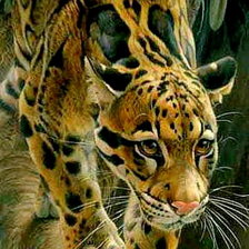 Схема вышивки «на прогулке»