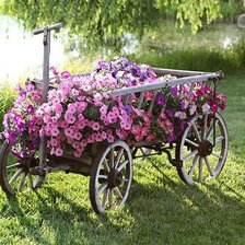 Схема вышивки «цветы»