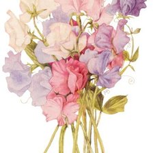 Схема вышивки «душистый горошек»