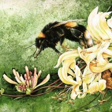 Схема вышивки «№362062»