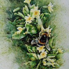 Схема вышивки «№362063»