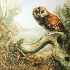 Схема вышивки «№362067»