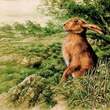 Схема вышивки «№362068»