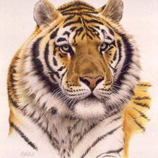 Схема вышивки «№362074»