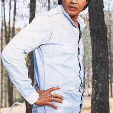 Схема вышивки «Митхун Чакраборти»