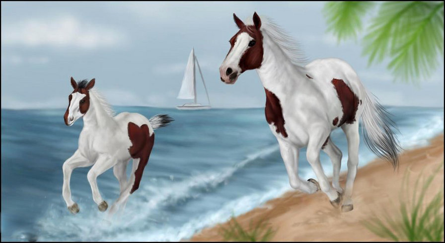 лошади - море, животные, лошадка, лошадь, кони - оригинал