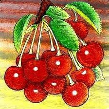 Схема вышивки «вишня»