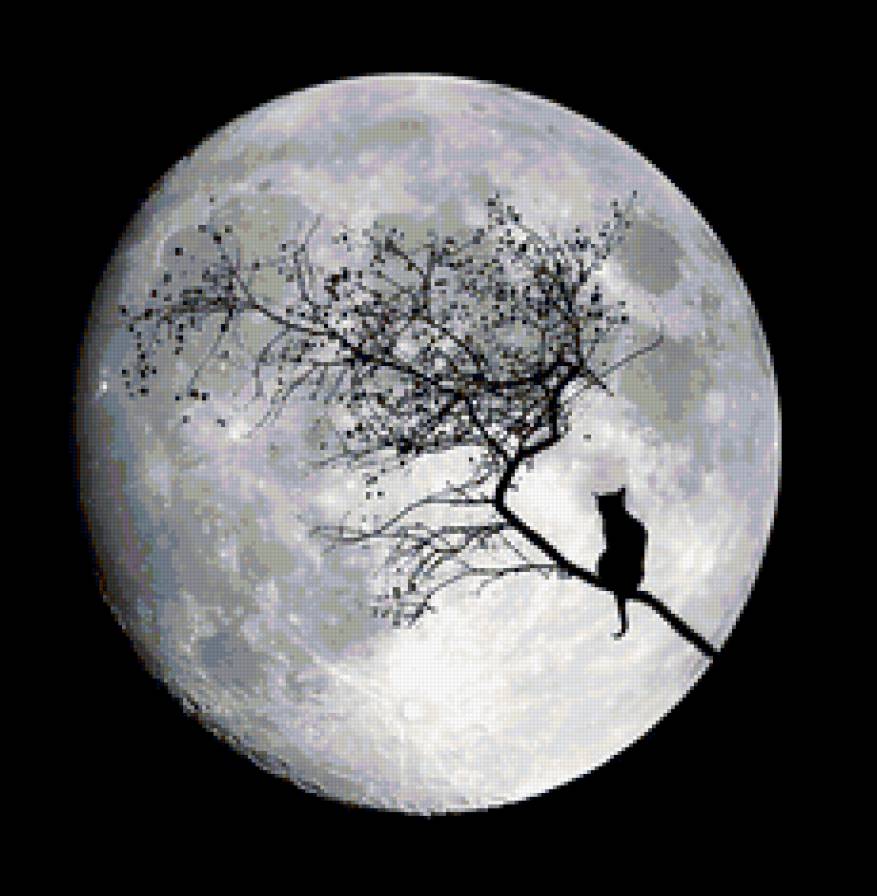 Луна и кошка - луна, космос, планета - предпросмотр