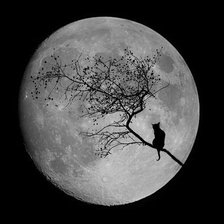 Схема вышивки «Луна и кошка»