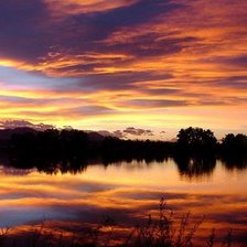 Схема вышивки «Природа»