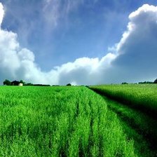 Схема вышивки «Природа»