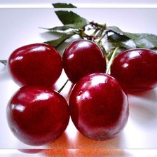 Схема вышивки «№362303»