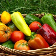 Схема вышивки «натюрморт на кухню»