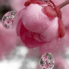 Схема вышивки «капля»