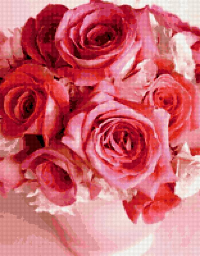 розы - букет, цветы, роза - предпросмотр