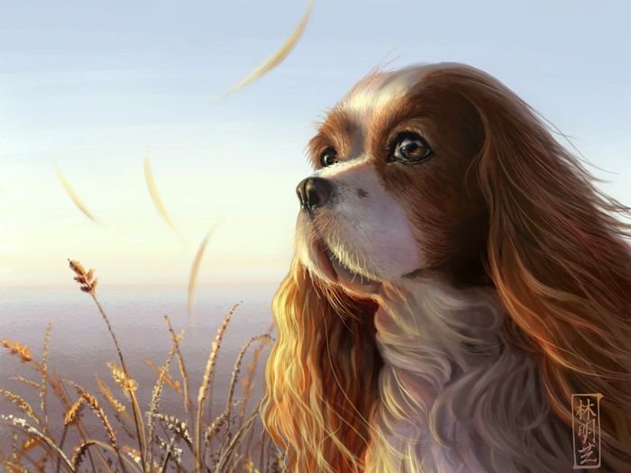 №362560 - оригинал