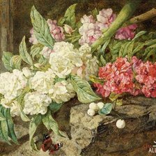 Схема вышивки «№362572»