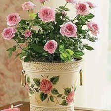 Схема вышивки «розы»