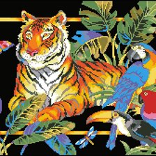 тигр и попугаи