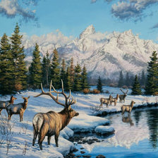 дикая природа