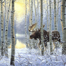 Схема вышивки «дикая природа»