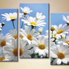 Схема вышивки «ромашки триптих»