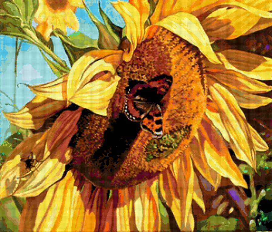 бабочка на подсолнухе - бабочка подсолнух - предпросмотр