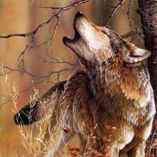 Схема вышивки «Волк»