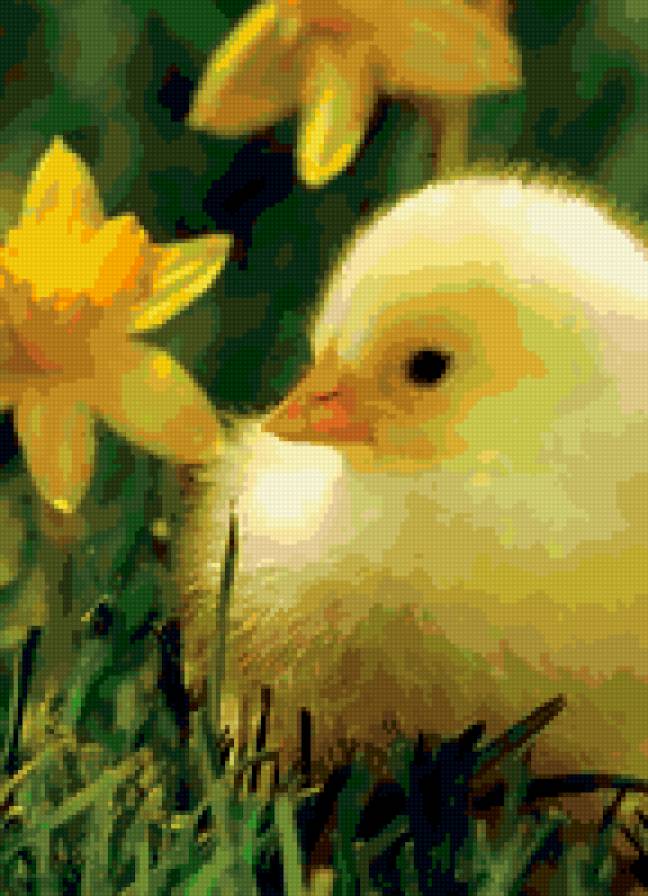 утенок - птица - предпросмотр