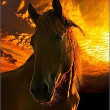 Схема вышивки «лошадь»