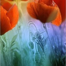 Схема вышивки «маки»