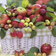 Схема вышивки «яблоки»