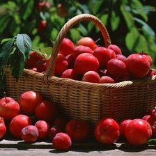 Схема вышивки «яблоки»