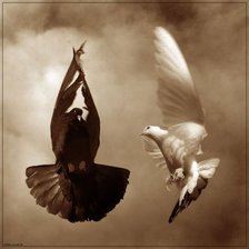 Схема вышивки «Чёрно-белое»