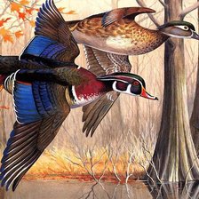 Схема вышивки «№363096»