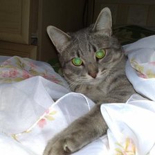 Схема вышивки «мой»