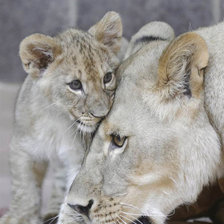 Схема вышивки «МАМОЧКА»