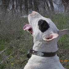 Схема вышивки «егор»