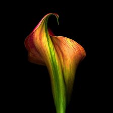 Схема вышивки «интерьер»