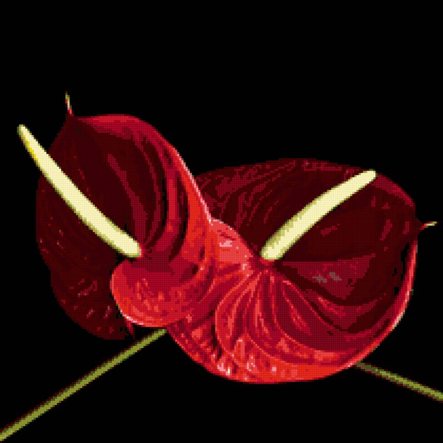 интерьер - цветы, дом - предпросмотр