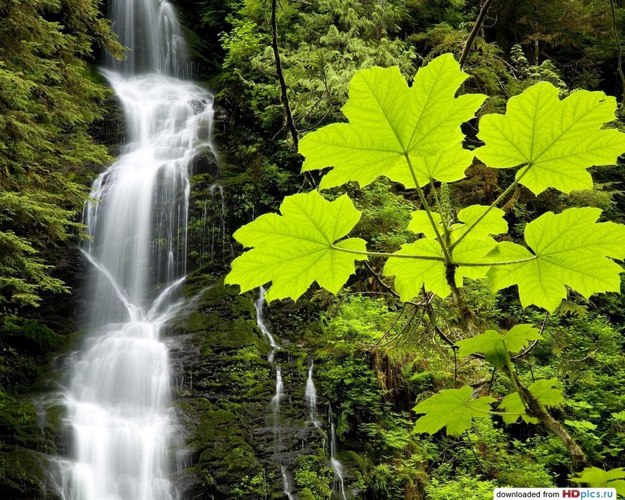 водопад - природа, водопад, пейзаж - оригинал