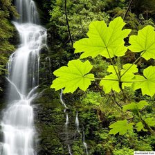 Схема вышивки «водопад»