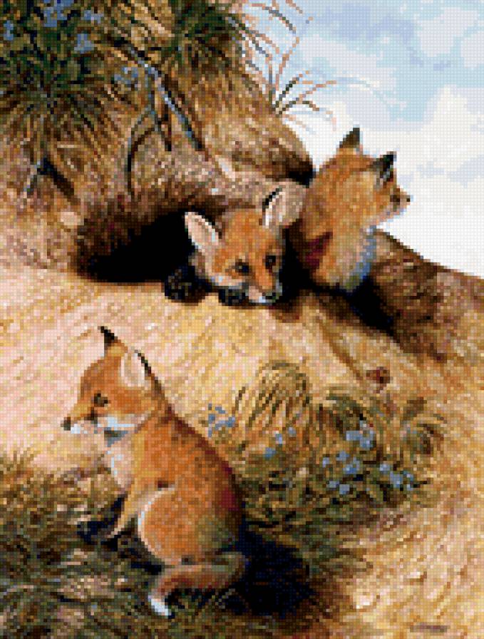 0101 - животные, красота, лето, лес, картина, лиса, природа - предпросмотр