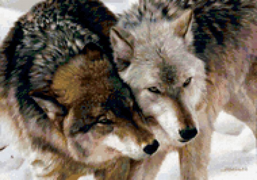 0102 - картина, животные, красота, волк, природа, волки, зима - предпросмотр