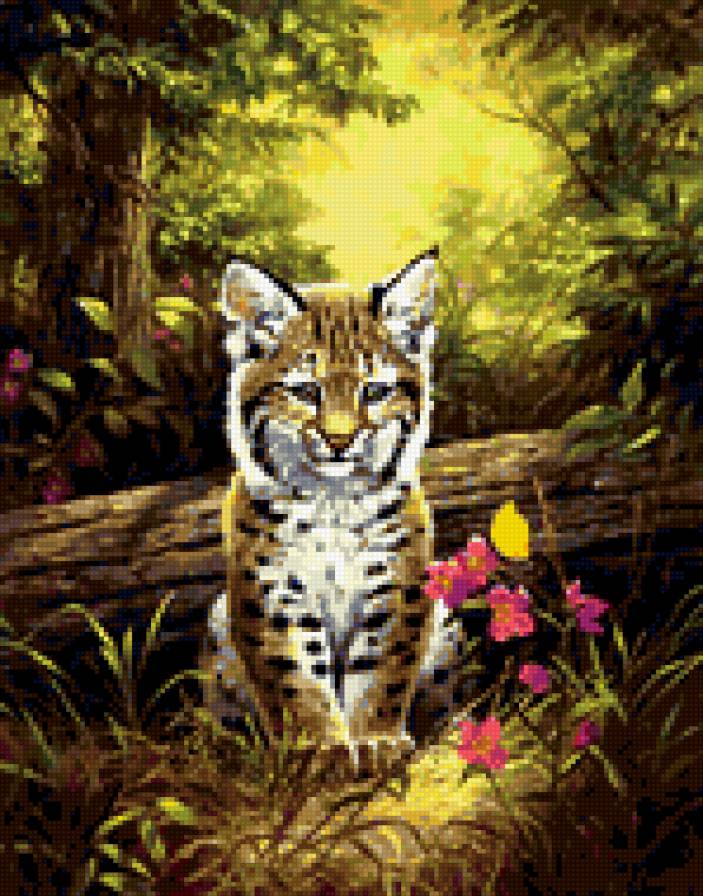 0105 - лето, кошки, красота, рысь, животные, картина, лес, природа - предпросмотр