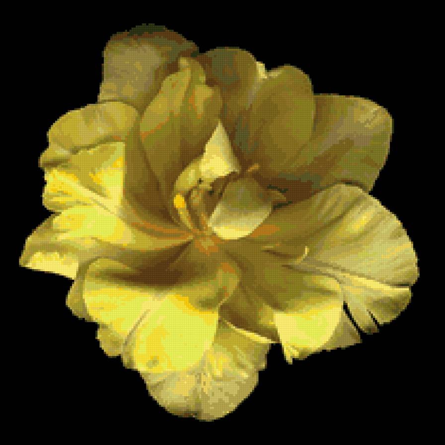 интерьер - дом, цветы - предпросмотр