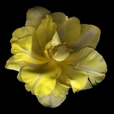 Схема вышивки «интерьер»